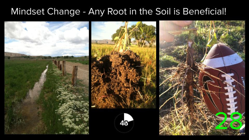 Build Your Soil