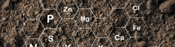 Micronutrients